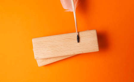 Close-up of a quill on an orange backgroundの写真素材