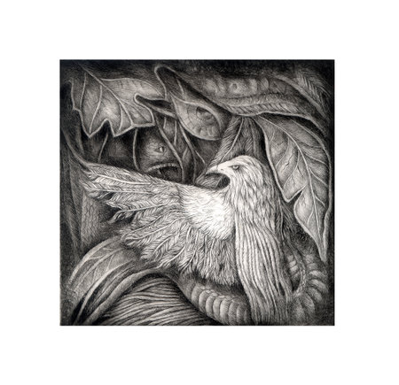 Nature of life. Drypoint etching printmaking on paper.の写真素材