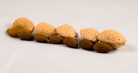 Group of almonds in shellの写真素材