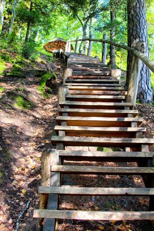 Staircase at autumn forest