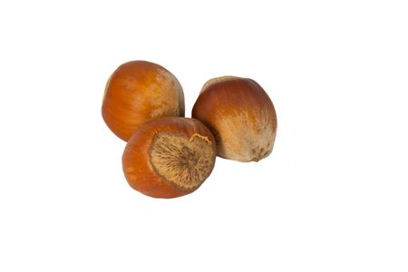 Hazelnuts in shell isolated on white backgroundの写真素材