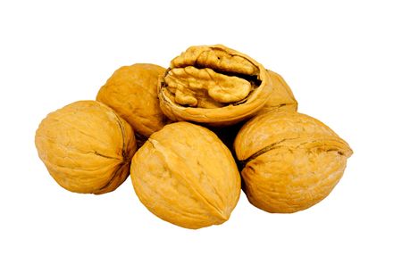 Walnuts in shell isolated on whiteの写真素材