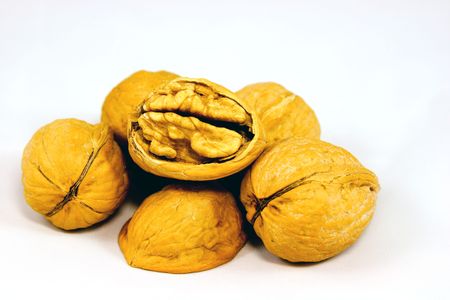 Walnuts in shell isolated on whiteの写真素材