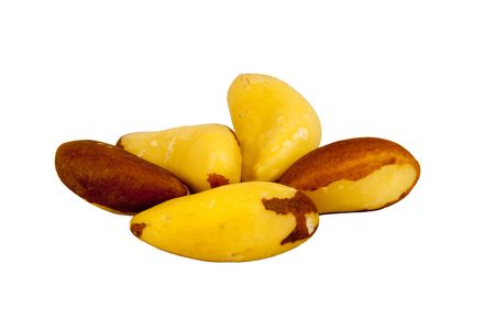 Brazil nuts isolated on whiteの写真素材