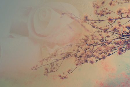 Dried flowers vintage in soft style for background