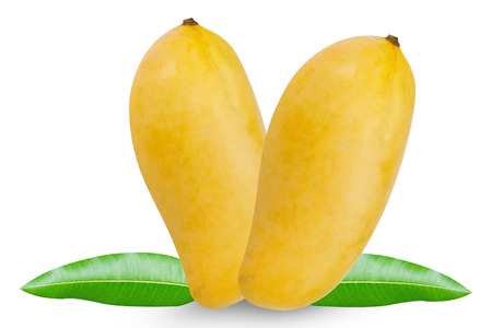 Mango fruit isolated on white background