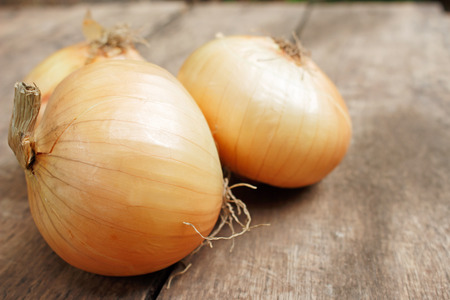 Onion on woodの写真素材
