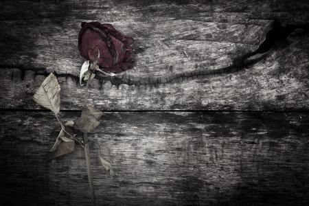 Still life with dry roses on old wooden tableの写真素材