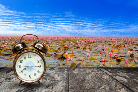 Retro alarm clock on wood and Sea of red lotus  background, Udon Thani, Thailand unseen in Thailand