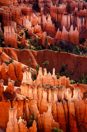 Bryce Canyonの写真素材
