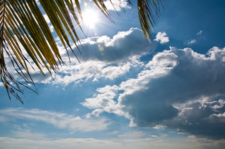 clear sky on beachの写真素材