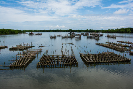 oyster farm in thailandの写真素材