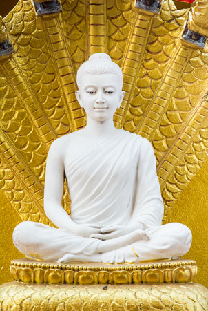 The face of a Buddhaの写真素材