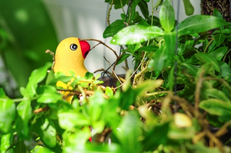 colorful parrot ceramics decorated in gardenの写真素材