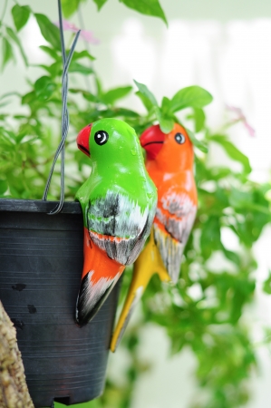 colorful parrot ceramics decorated in gardenの写真素材