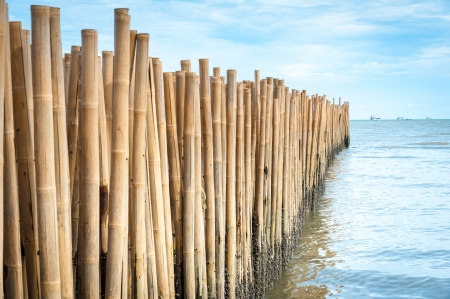 Bamboo barrier for protect the beach, phuket Thailandの写真素材