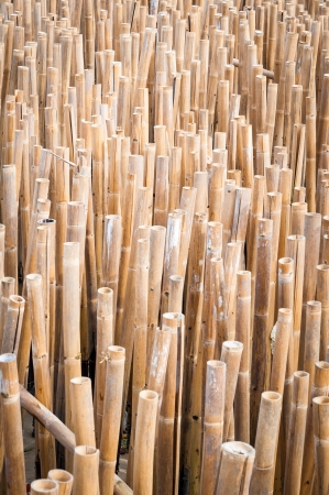 Bamboo barrier for protect the beach, phuket Thailandの写真素材