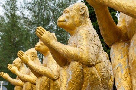 Monkey statue at mangrove forest, phuket Thailandの写真素材
