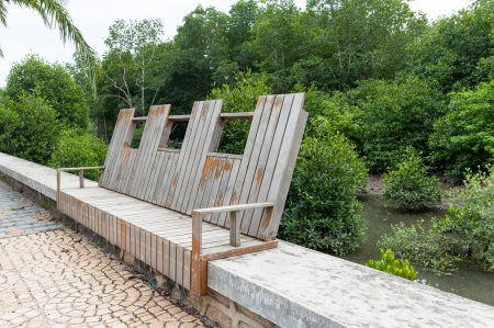 walkway and bench in front of mangrove forest