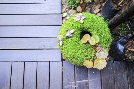 moss on pot decoration of gardening wooden pathwayの写真素材