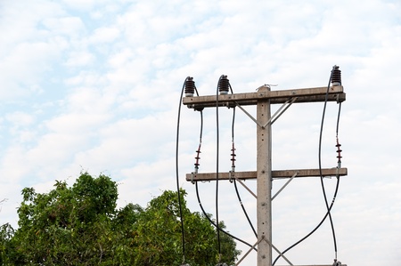 electric pole with tree behind