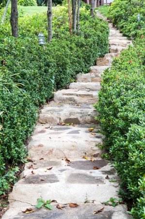 Stairway in gardenの写真素材
