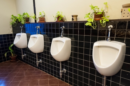 row of public urinalの写真素材