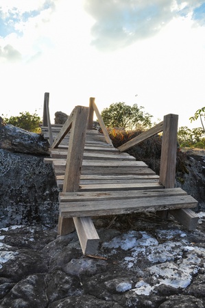 small wooden bridge in national parkの写真素材