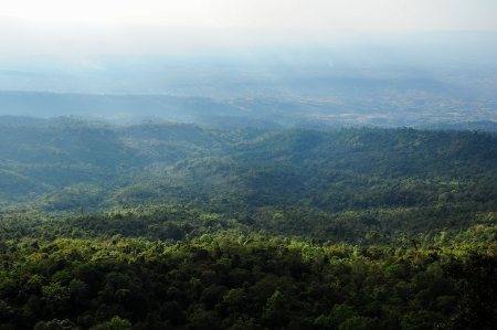 Tropical mountain mist in Thailand の写真素材