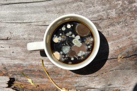 mold in the unwashed cup after cup of coffee on grungy wooden background, A cup of coffee left for...