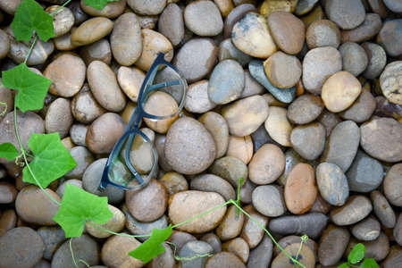 Clear eyeglasses, Glasses transparent dark blue frame Vintage style on pebbles with plant around