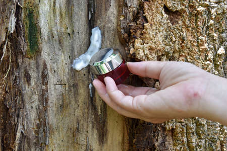 a hand holding skin care cream for the tree trunk dry skin is diseased , a sick tree and skin care healing conceptの写真素材