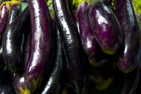 Bushel of Eggplantsの写真素材