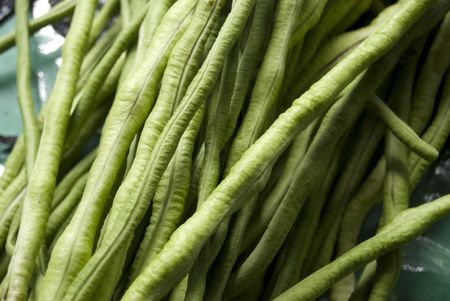 String Beansの写真素材