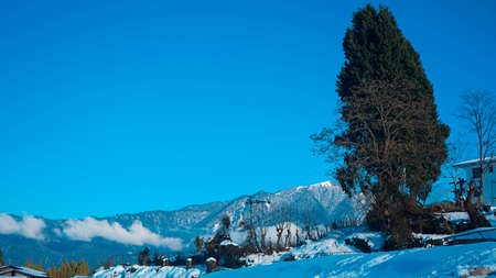 Beautiful winter landscape in the mountains with snow covered trees and blue sky