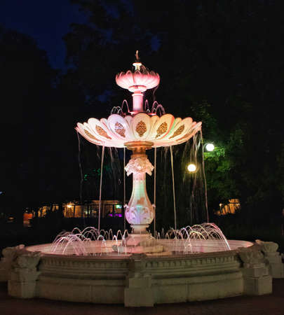 Beautiful fountain in night parkの写真素材