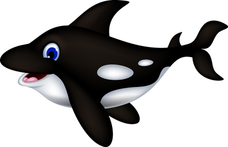 killer whale cartoonのイラスト素材