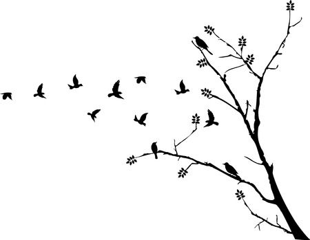 bird flying around a tree branchのイラスト素材