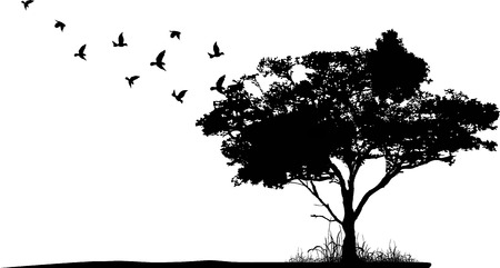 tree silhouette with birds flyingのイラスト素材