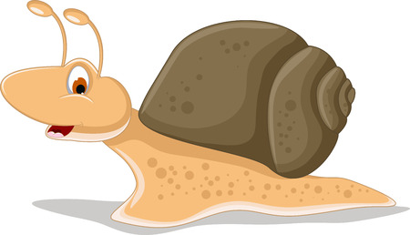 snail cartoon for you designのイラスト素材