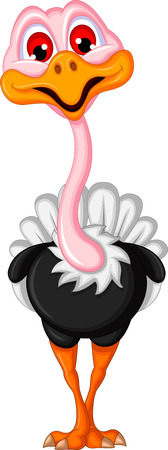 ostrich cartoonのイラスト素材