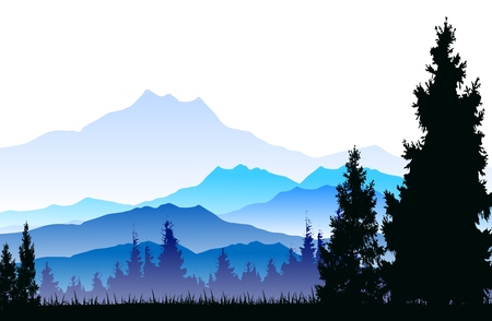 pine forest backgroundのイラスト素材