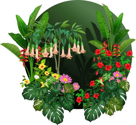 Cool Tropical Plants Cartoon Setのイラスト素材