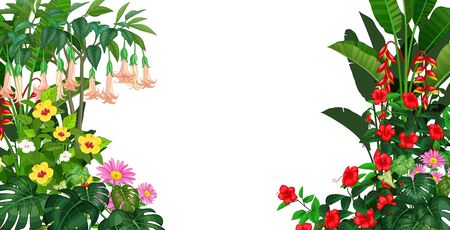 Cool Tropical Plants Cartoon Setのイラスト素材
