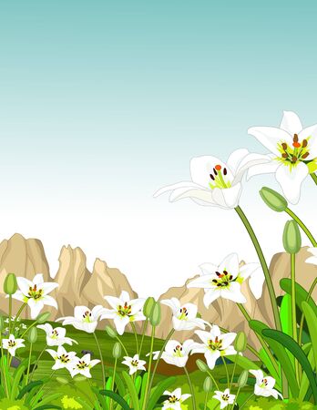 White Ivy Flower In Grass Field With Rocks Hill Cartoonのイラスト素材