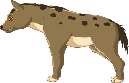 Illustration of a hyena on a white background, vector illustrationのイラスト素材