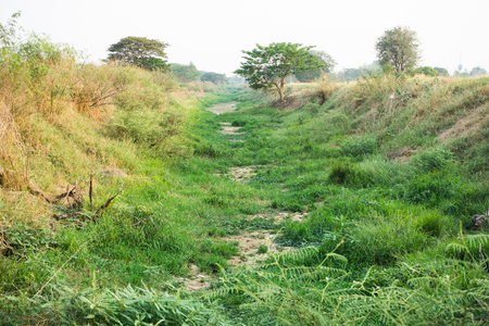 The River drought in the summer of Thailand.の写真素材