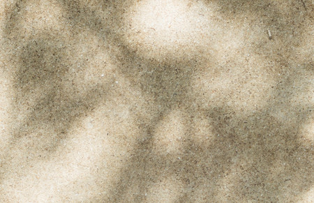 Old cement wall texture with tree shadow backgroundの写真素材