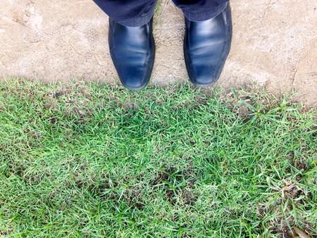 Young man standing in freshly  grass lawnの写真素材