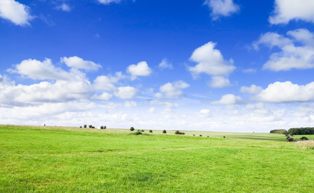 green field and blue skyの写真素材